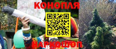 гашик Нягань