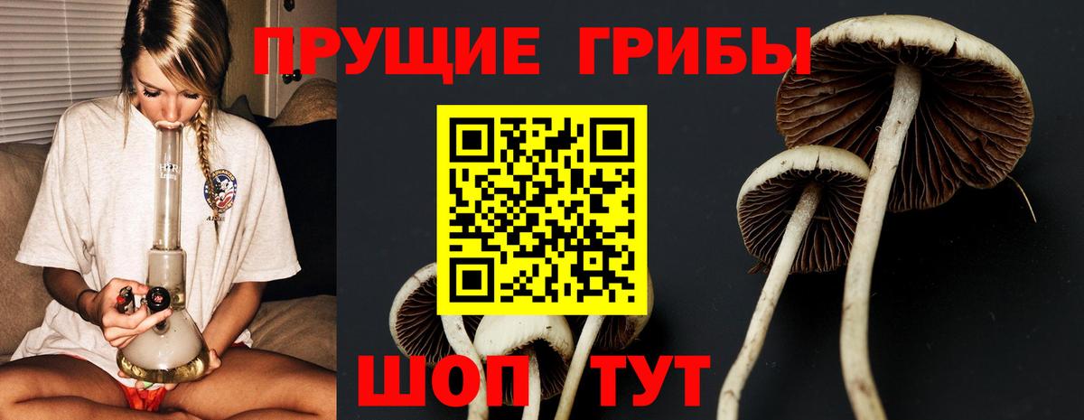 Псилоцибиновые грибы Cubensis  Вход с VPN  наркошоп  Острогожск 
