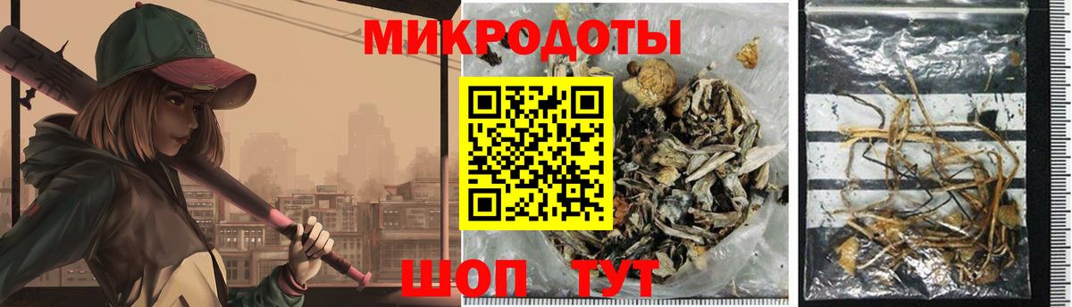 Галлюциногенные грибы Psilocybe Острогожск